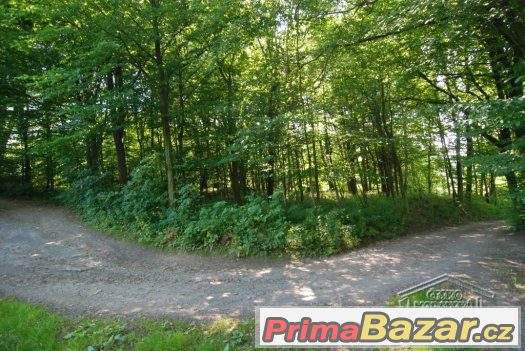 Prodej Stavební pozemek, Krhová – fotografie 5