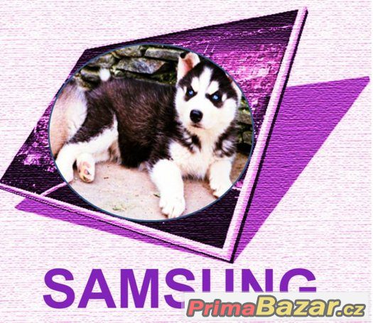 LCD Notebook SAMSUNG 15,4"_SHARP 13.3" – fotografie 1
