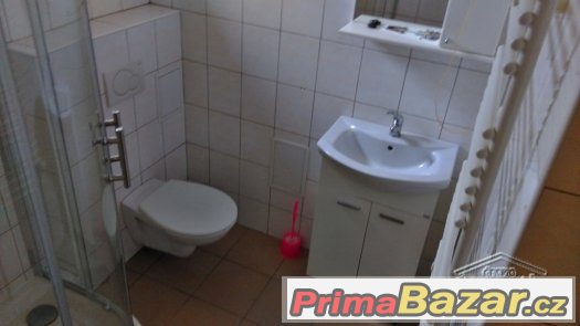 Pronájem Byt 1+1, Bílovec, Bezručova – fotografie 2