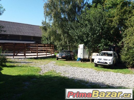 Ustájení, výcvik koní a jezdců u Mnichova Hradiště – fotografie 2