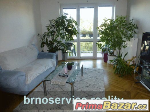 Prodej cihlového bytu 3+1 s terasou na Veveří Brno – fotografie 1