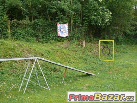 Výcvik všech plemen psů - cvičiště U Puntíků – fotografie 2