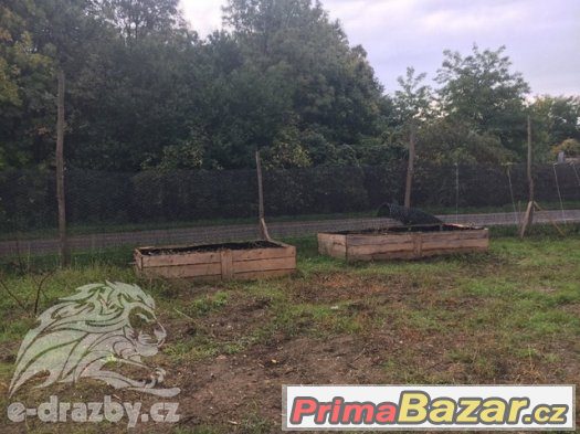 Pozemek s možností výstavby (671 m2), Břeclav, Týnec, Týnec – fotografie 3