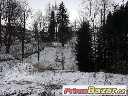 Pozemek pro výstavbu (1.636 m2), Horní Údolí, obec Zlaté Hor – fotografie 1