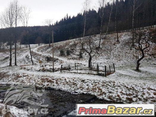 Stavební pozemek (283 m2) a zahrada (2247 m2), Jeseník, Zlat – fotografie 2