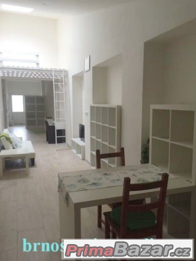 Pronájem 1+kk/studio flat 60 m2 to rent Troubsko – fotografie 4
