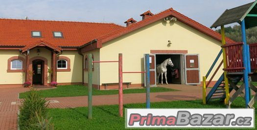 STÁJNÍK /OŠETŘOVATEL KONÍ PRAHA - ZÁPAD – fotografie 1