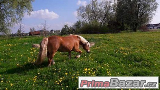 LEVNÉ USTÁJENÍ – fotografie 1