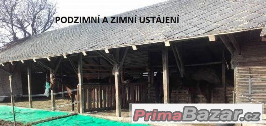 LEVNÉ USTÁJENÍ – fotografie 4