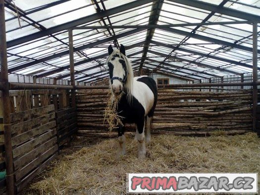 Zahradní domek a ustájení – fotografie 1