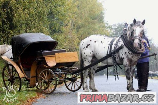 Prodám barokní kočár Viktoria – fotografie 1