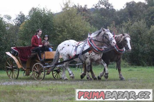 Prodám barokní kočár Viktoria – fotografie 2