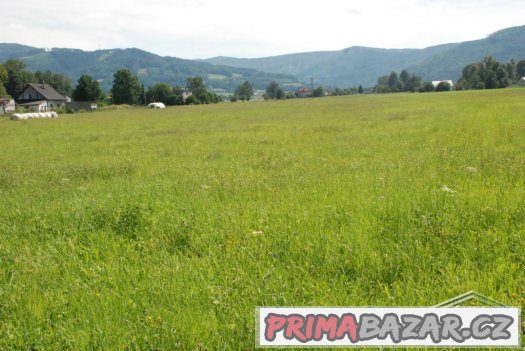 Prodej Stavební pozemek, 4.168 m2, Ropice – fotografie 4