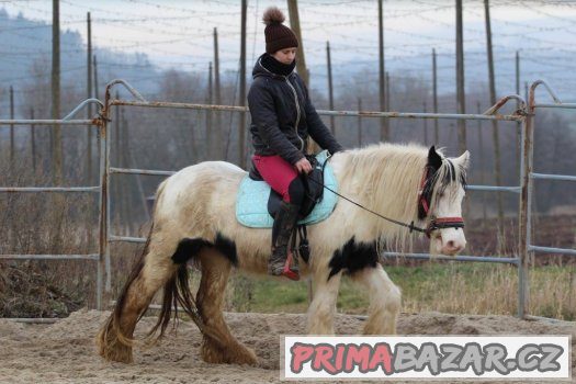 Spolehlivá kobylka irského coba do terénu – fotografie 5