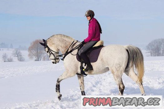 Nabízím ježdení Zdarma – fotografie 1
