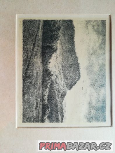 Max švabiský – fotografie 4