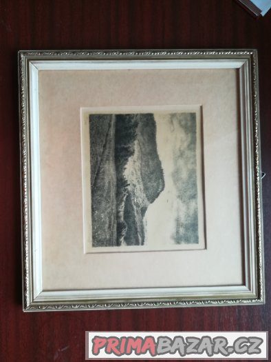 Max švabiský – fotografie 5