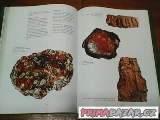 ZKAMENĚLINY CELÉHO SVĚTA – fotografie 2