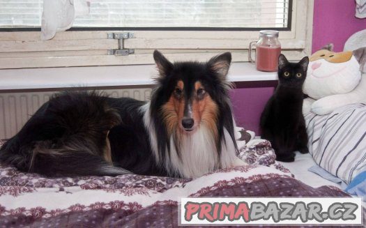 Výjimečný Romeo hledá spřízněnou duši ♥ – fotografie 3