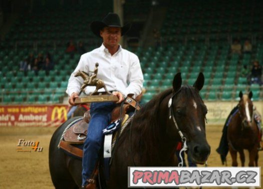 Připouštění QH - GEE RONNIE MO – fotografie 1
