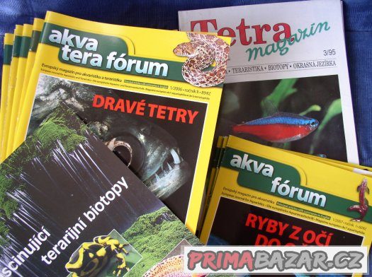 Akva tera fórum , Tetra magazín – fotografie 2