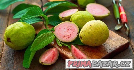 Guava Psidium Guajava ( kvajáva) - semena - 10 ks – fotografie 3