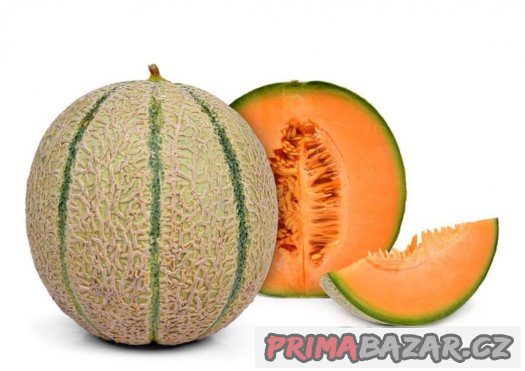 Meloun Cantaloupe - semena 15 ks – fotografie 1