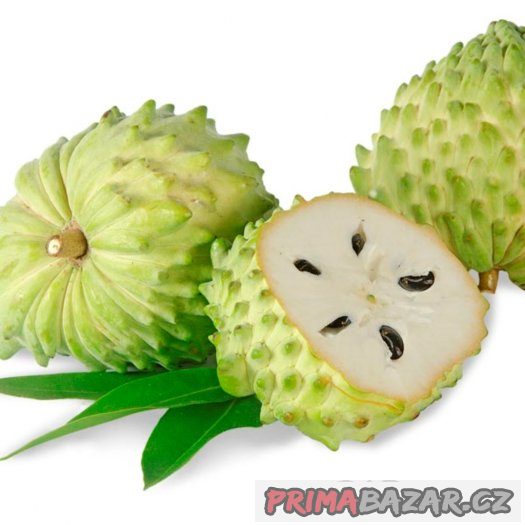 Annona squamosa ( anona šupinatá ) - semena 5 ks – fotografie 1