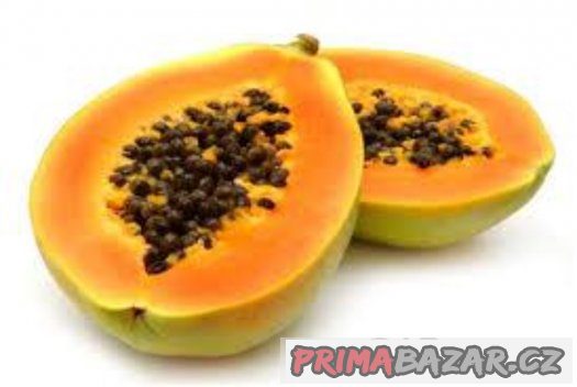 Papaya carica - semena 10 ks – fotografie 2