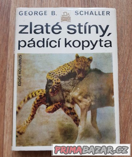 Prodám knihu  Zlaté stíny, pádící kopyta – fotografie 1