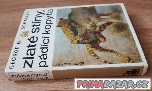Prodám knihu  Zlaté stíny, pádící kopyta – fotografie 2