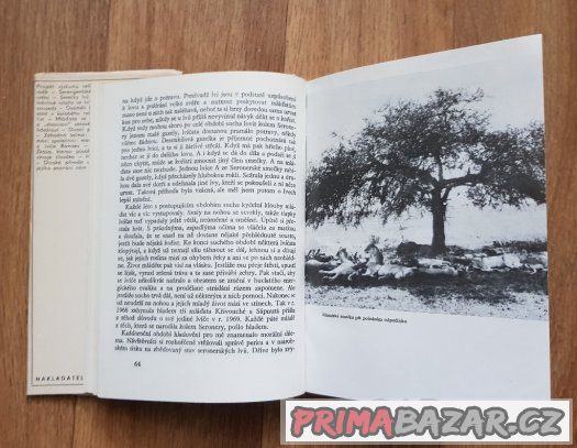 Prodám knihu  Zlaté stíny, pádící kopyta – fotografie 5