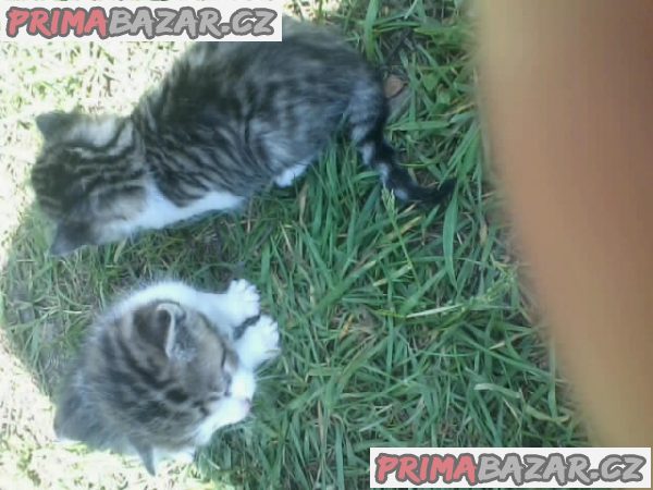 MĚSÍČNÍ KOTATKA – fotografie 2