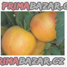 Rajče Garden peach - semena