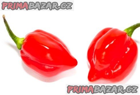 Chilli Red Savina - semena