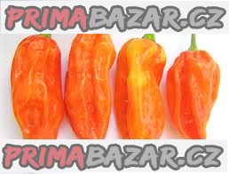 Chilli Jolokia Peach - semena