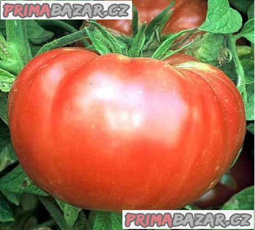 Rajče Brandywine red - semena