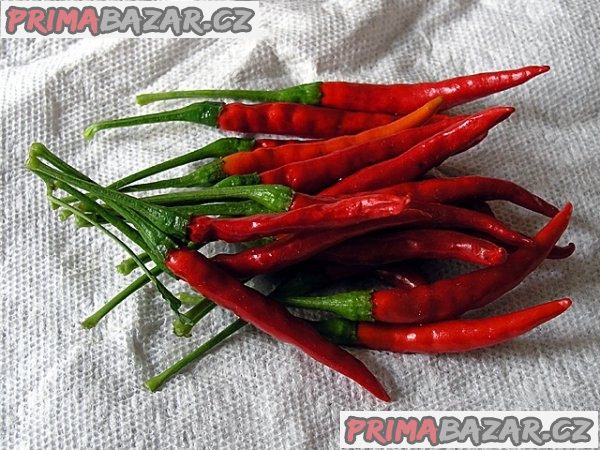 Chilli de Arbol