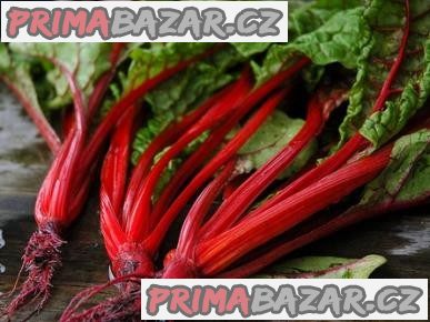 Mangold Rhubarb chard - semena