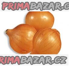 Cibule Stoccarda - semena