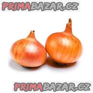 Cibule Dorata di Parma - semena