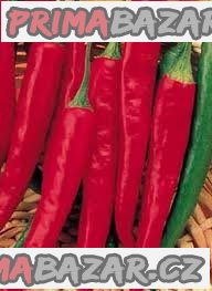Chilli Cayenne Long Slim  - semena