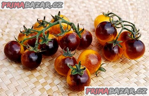 Rajče Blue God Berries - semena
