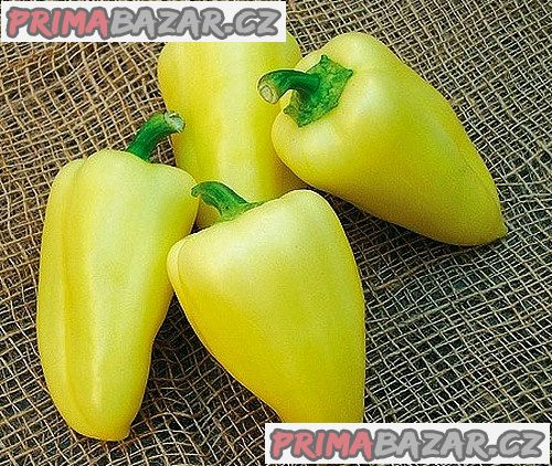 Paprika Citrína - semena