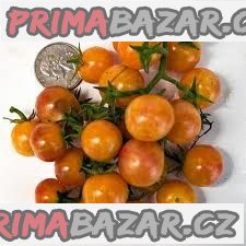 Rajče Bicolor Cherry - semena