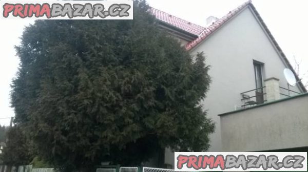 Nabízím pronájem bez realitky a kauce - Plzeň – fotografie 4