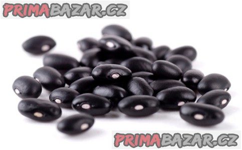 Fazol Blue Lake a Grano nero - semena
