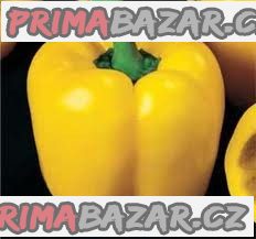 Paprika Quadrato D_asti Giallo - semena