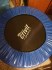 Trampolína