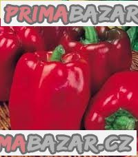 paprika Quadrato D_asti Rosso  - semena